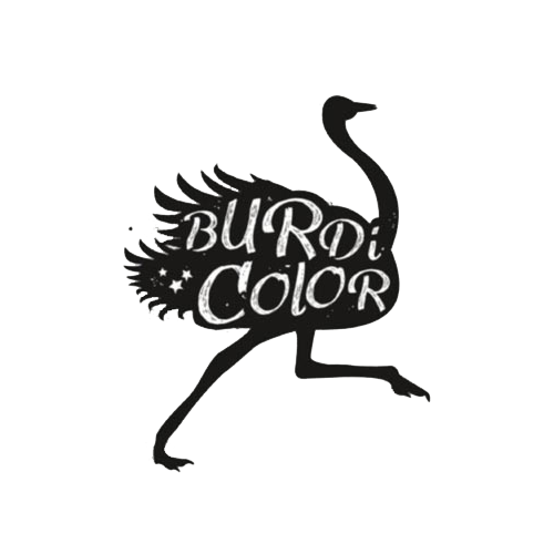 Logo Burdi Color